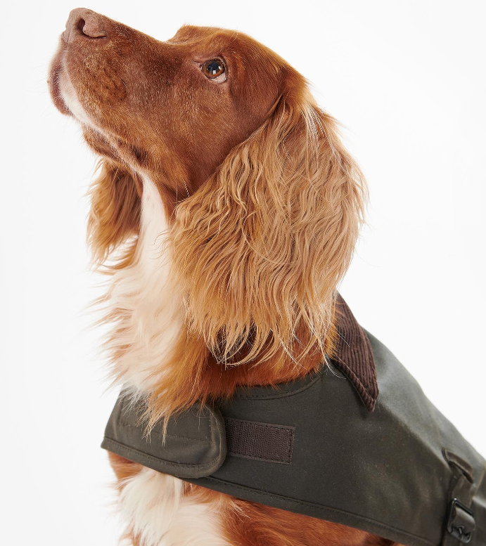 Wax Dog Coat (Olive) - Barbour