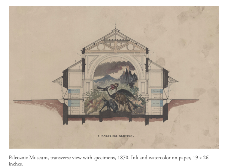 The Central Park, Original Designs for New York's Greatest Treasure