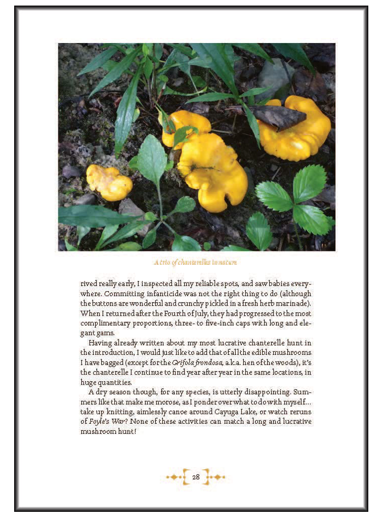 Mushrooms - Foraging & Feasting - Book