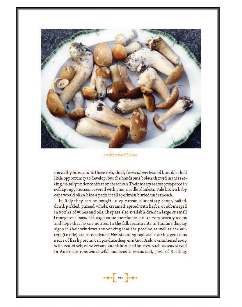 Mushrooms - Foraging & Feasting - Book