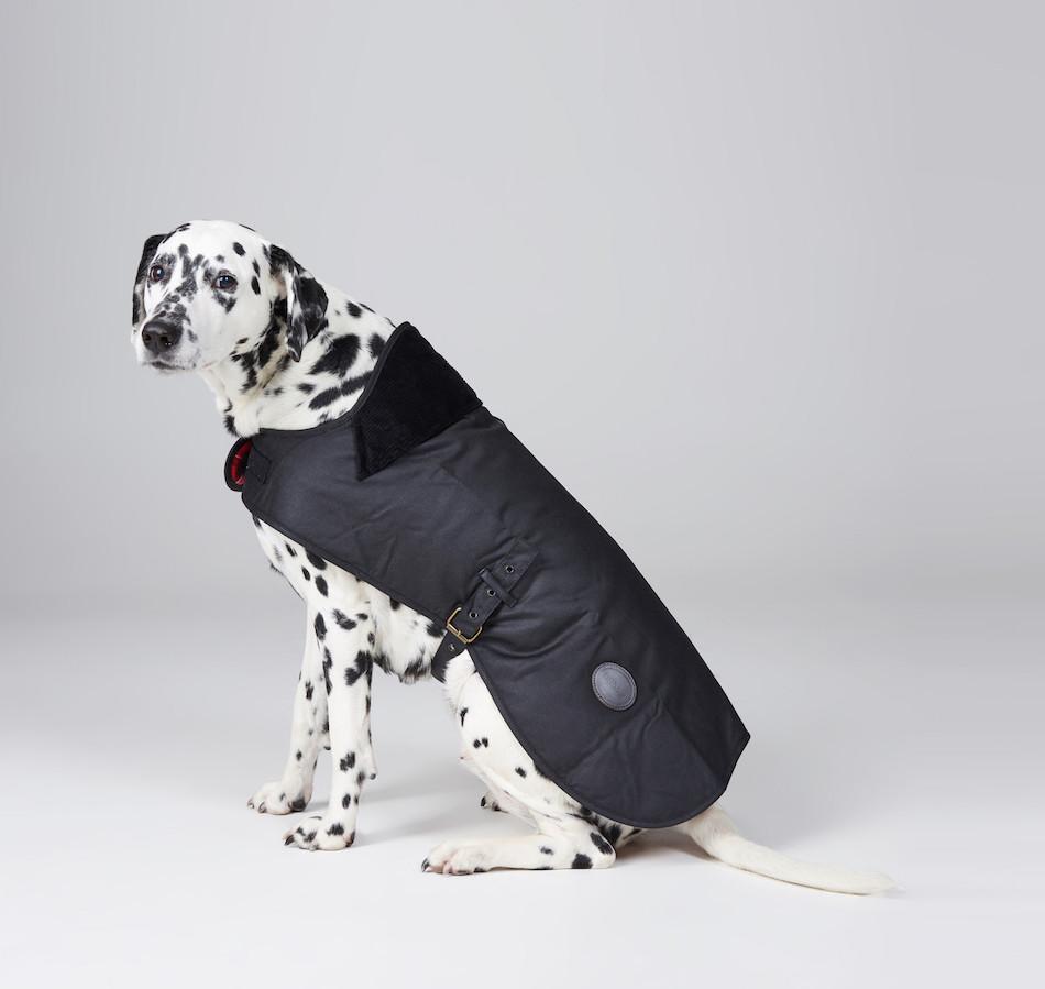 Wax Dog Coat Black/ Red - Barbour